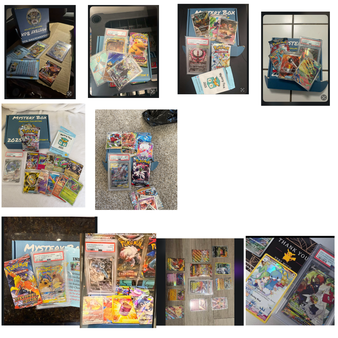 THE PREMIUM COLLECTION -  EDITION 5.3 (LAST EDITION FOR 2025)